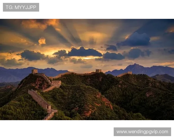 博洛尼亚俱乐部：历史辉煌与未来挑战的完美交织